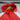 Corta Vento Benfica 24/25 - Branco e Vermelho
