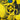 Camisa 24∕25 Seleção Brasil Edição Especial Amarelo